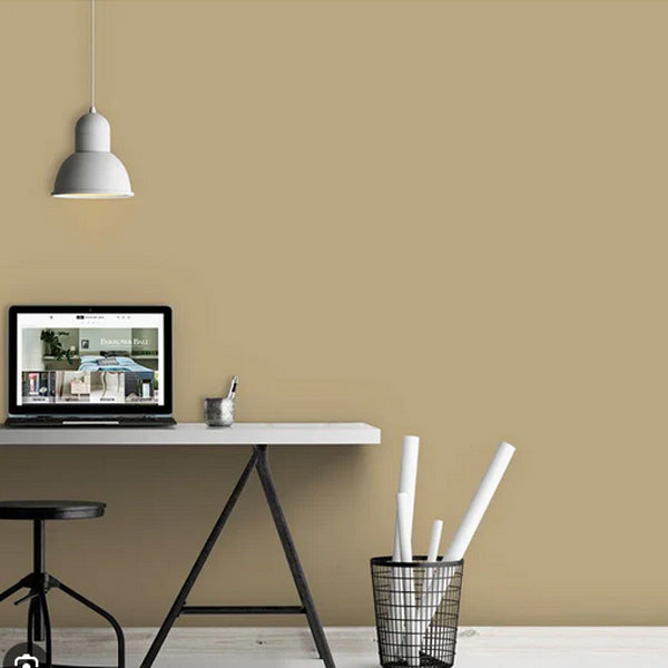 Biscuit Nº.38 (outlet)