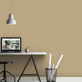 Biscuit Nº.38 (outlet)