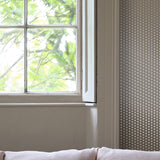 Roasted Macadamia Nº.CB2